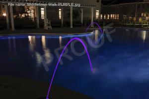 Middletown Walk-PURPLE (1)